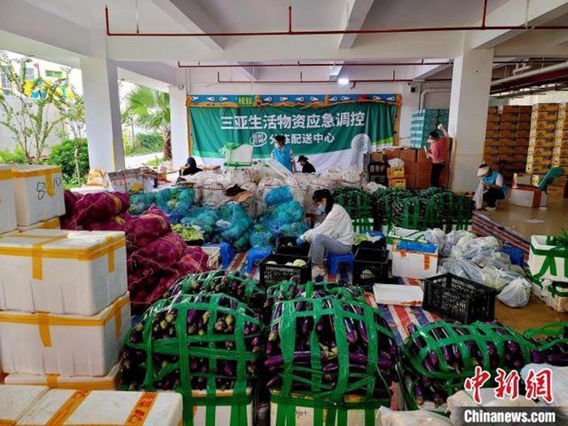 水泥与沙子,建房基石的黄金搭档